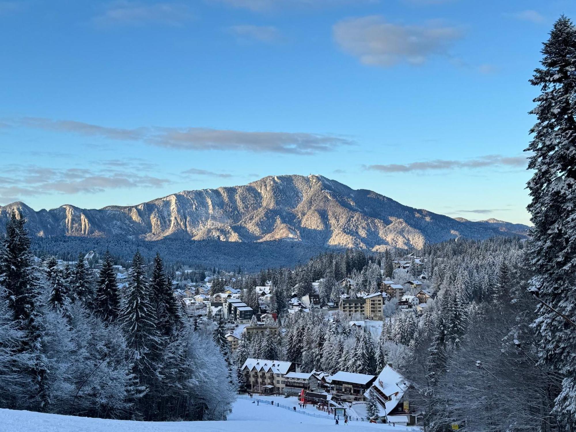 Pine Peak Apartments Predeal Εξωτερικό φωτογραφία