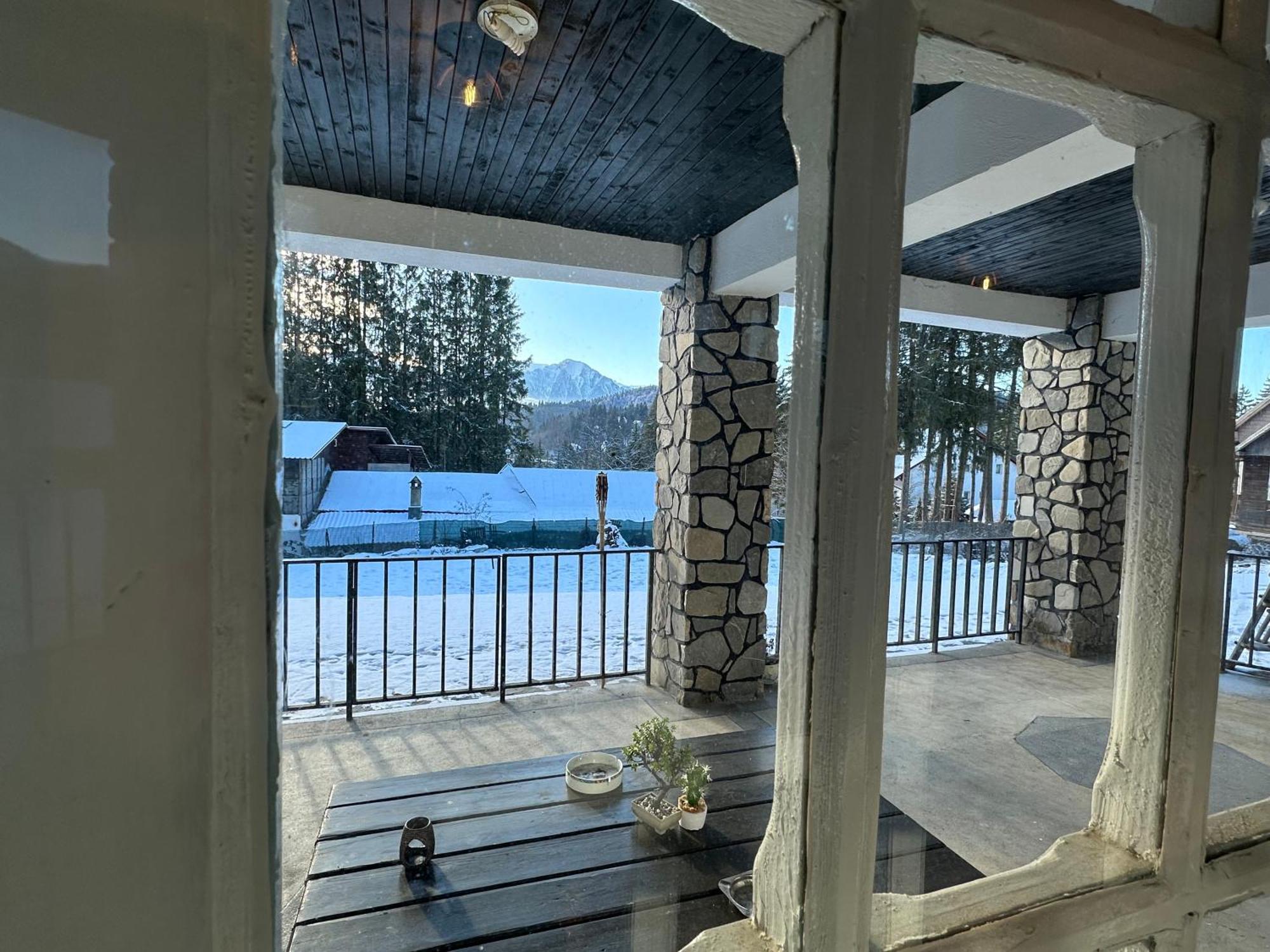 Pine Peak Apartments Predeal Εξωτερικό φωτογραφία