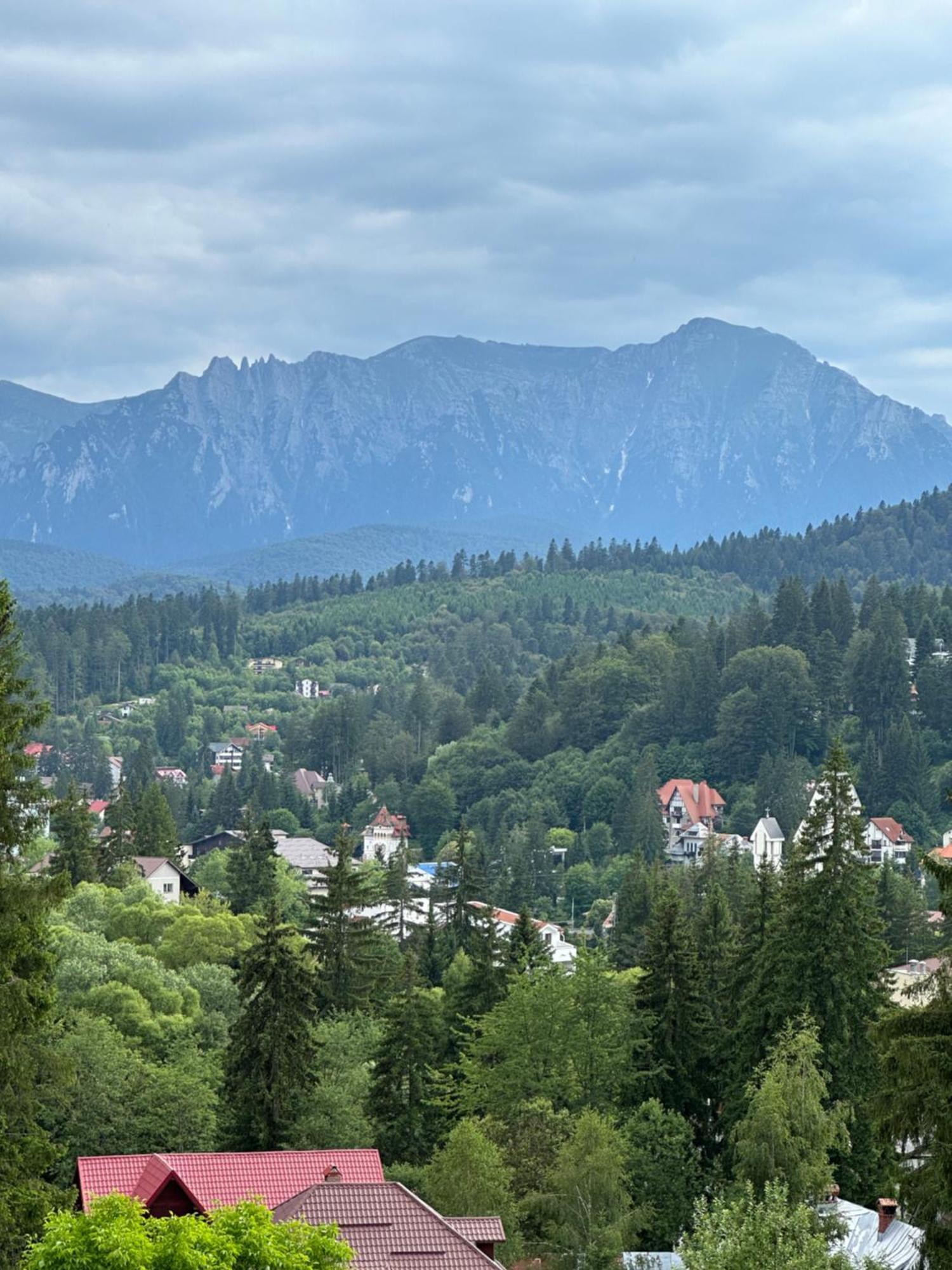 Pine Peak Apartments Predeal Εξωτερικό φωτογραφία