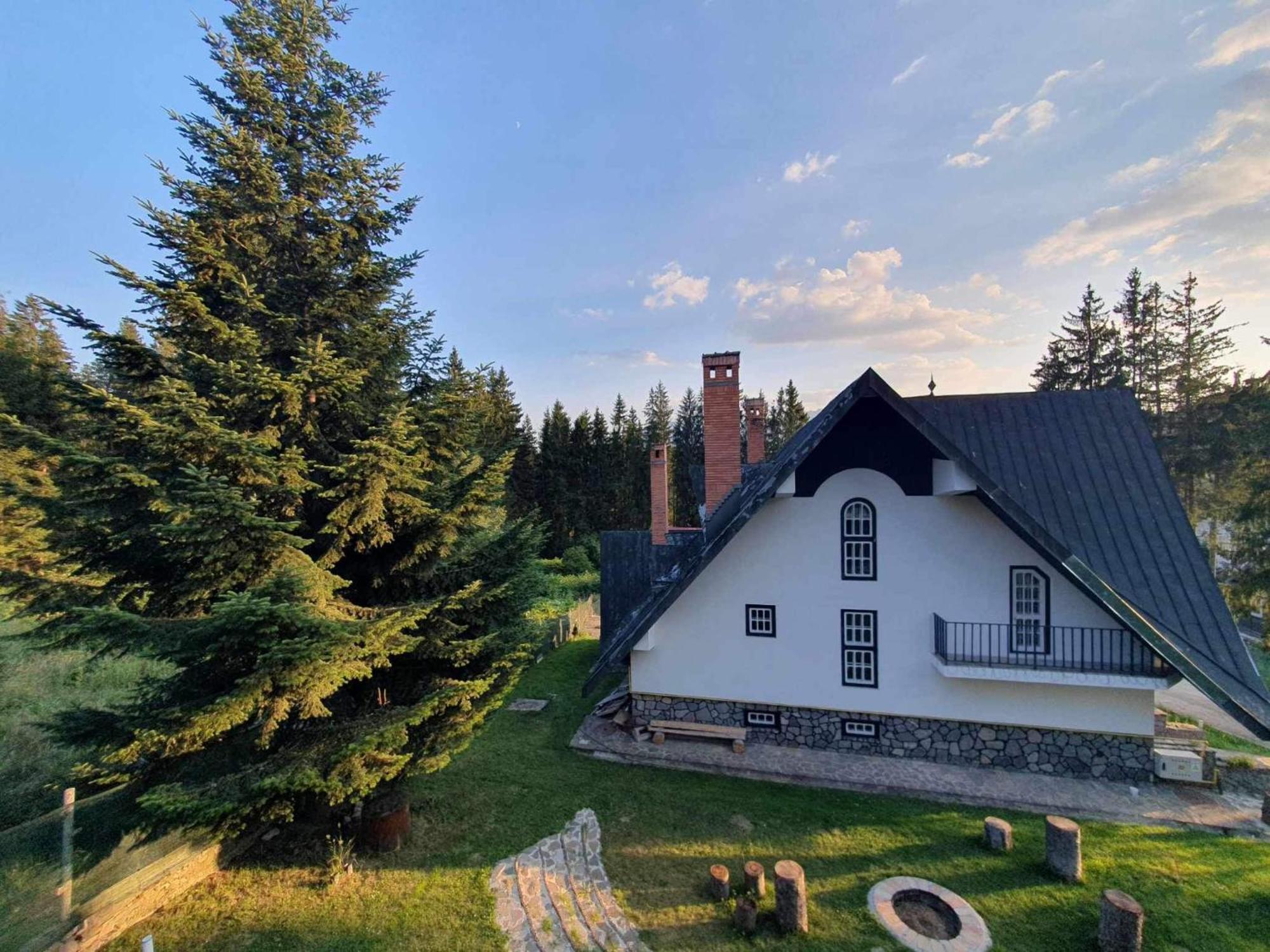 Pine Peak Apartments Predeal Εξωτερικό φωτογραφία