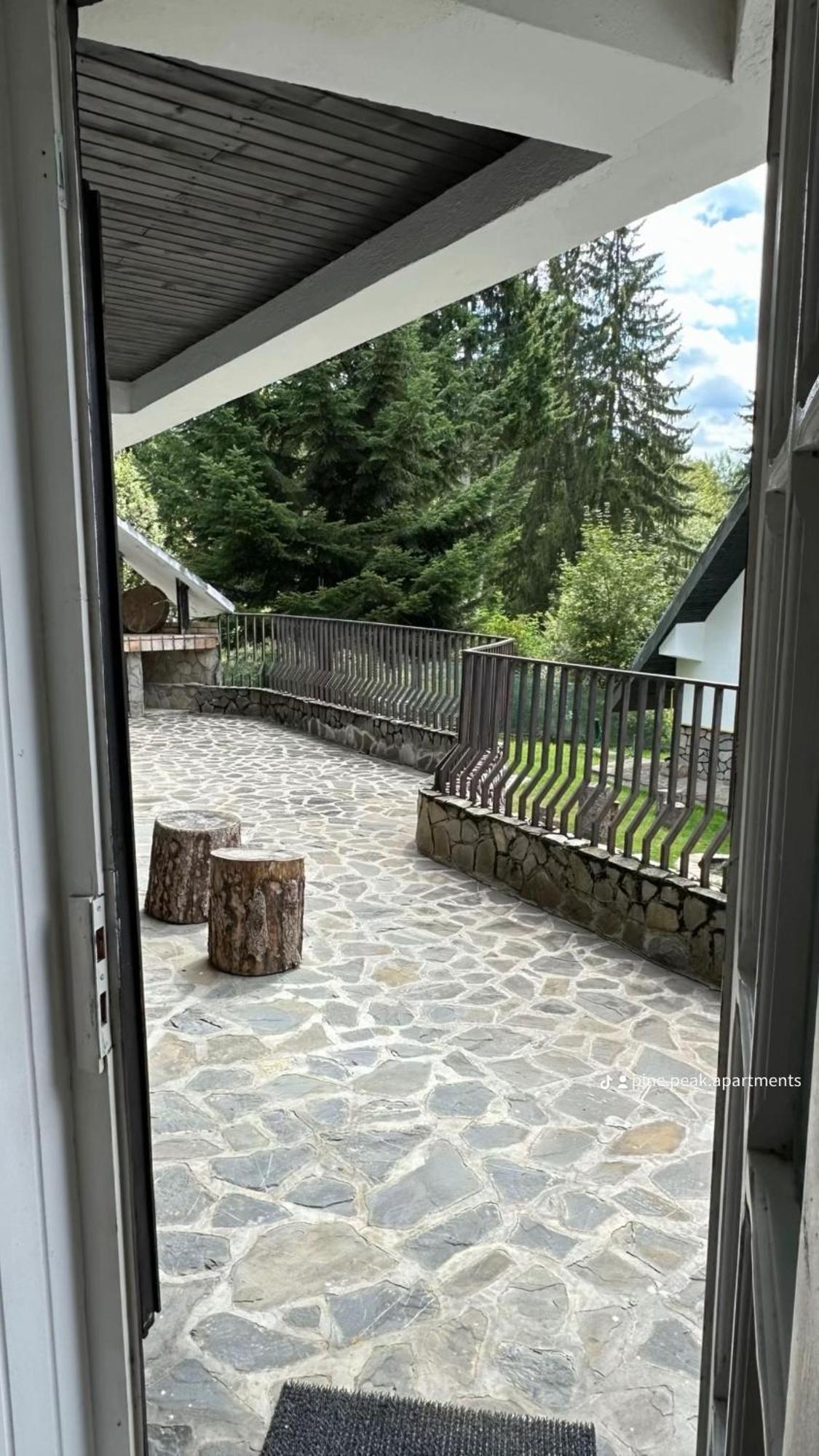 Pine Peak Apartments Predeal Εξωτερικό φωτογραφία